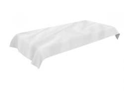Sheet for convicts