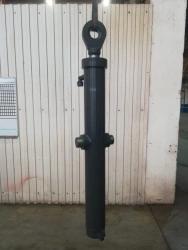 Hydraulic cylinder GTs 100.60.25.000