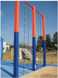 PP Element Assault Ladder