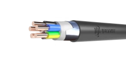 Power cables with plastic insulation for voltage 0,66 and 1 kV of PvBShp type.