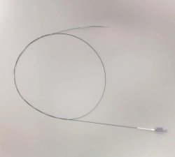 Coronary stents "R-OLIMUS" with bioresorbable antiproliferative coating on delivery system