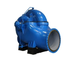 Pump D 12500-24 M and electric pump units on its basis