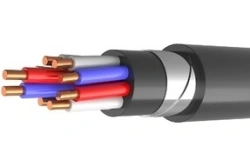 Control cable KVBBbshvng(A)-LS for rated voltage 0,66 kV