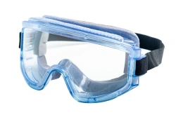 Safety goggles ZN11 PANORAMA super, article no. 24130.