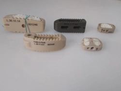 Endocarbon intervertebral disc cage
