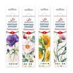 Watercolour art pencils "VISTA-ARTISTA" Extra Fine VWPB-06 Botanica Watercolour pencils set sharpened 8 x 6 colours