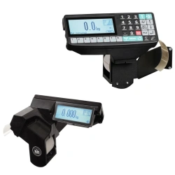 Weighing terminal R2P