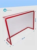 VITOKIN hockey training gates