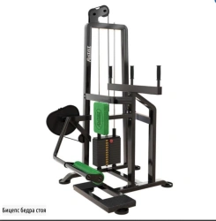 Standing Biceps Hip Deadlift