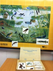 Magnetic poster "Natural community of a water body".
