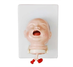Infant model for tracheal intubation 3A