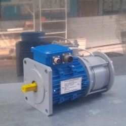 Electric actuator door. ED