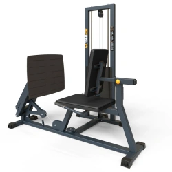 BF-138.1 Horizontal leg press