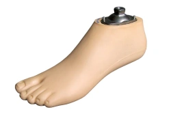 Mid-heeled foot 9A 018 type Sach female adult 25 PJSC RKK Energia Russia