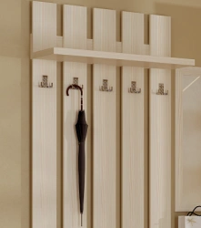 Panel with hooks