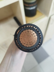 Cable (?)????(?)??