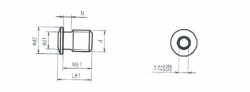 Blanking screw titanium alloy M10 20mm