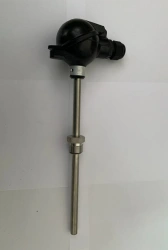 Resistance thermocouple TSP 002-2-200-100P-V-2-10-120 DZh2.821.002 TU
