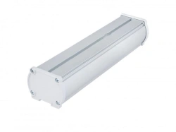 Diora Piton 2Ex 25/2600 D opal 4000K Transit lamp