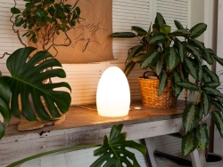Luminaire OVAL (E14) IP40 4000K