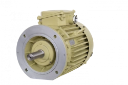 Three-phase asynchronous motors DM160, DMN160 (11-18,5 kW)
