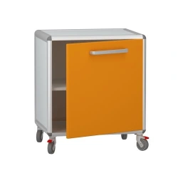 Rolling medical cabinet according to TU 32.50.30-008-69573749-2021, article number DM-2-107-05.K2.F2.