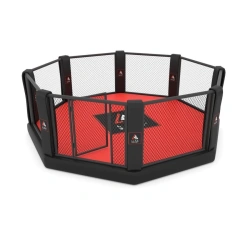 MMA cage on the platform