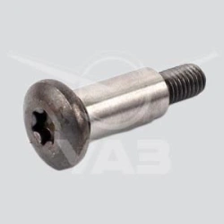 BOLT OF TENSIONER LEVER 406.1006098-20