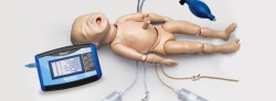 Model of premature foetus (24 weeks) PS6604