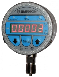 Pressure gauge DM5002M 100mm