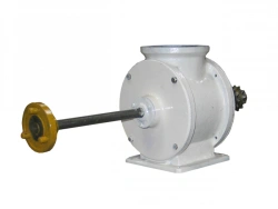 Sluice gate R1-ZSh-00