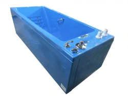 Hydrotherapy bathtub "OKCERVILLE", modification - hydro/aeromassage: G16/A16