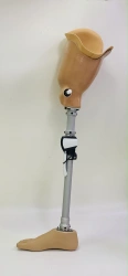 Bathing hip prosthesis PH6-T