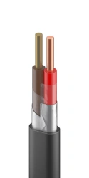 Thermoelectrode stranded wire with single-wire conductive conductors, PTVEVT grade