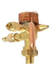 Thermostatic control valve TE2