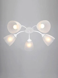 General purpose fixed luminaire V37610/5PL