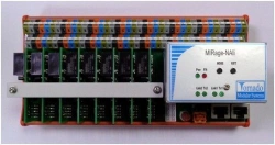 Analogue input devices MIRage-NAIi