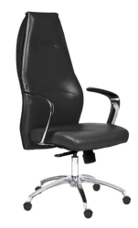 Armchair model Echair 554