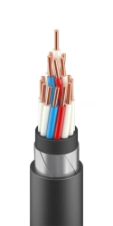 Control cable with plastic insulation with protective covers of BbShv, BbShvng type, grade: KVBBBShvzng(A)