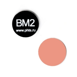 Fluorescent testing target BM2-3