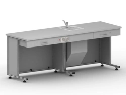 Demonstration table with sink