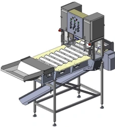 Salmon head cut-off with automatic feeding electromechanical double DALU.OGL.00.000-100
