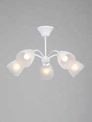 General purpose fixed luminaire V3929-0/5PL