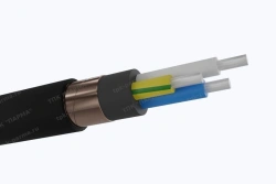Power cable for voltage 0,66; 1kV of mark AVVGEng(A)