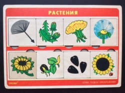 The game "Wonders of Transformations" (Plants)