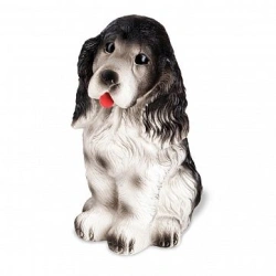Spaniel Charlie