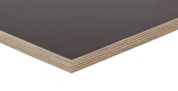 Birch Plywood Laminated with Thermosetting Polymer Film