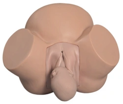 Model of midwifery practice, item GP6613 / 8