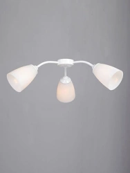General purpose fixed luminaire V31870-0/3PL