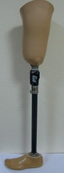 Bathing hip prosthesis PN-BK